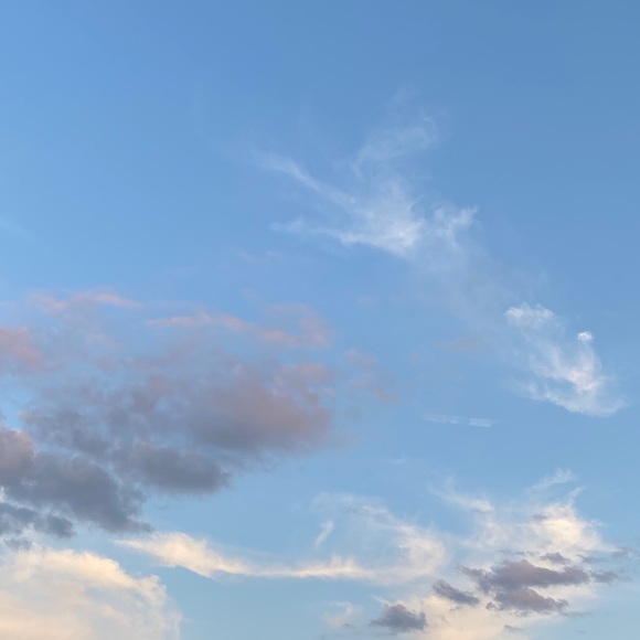 Meet your Posher, Mia - Picture 1 of 1